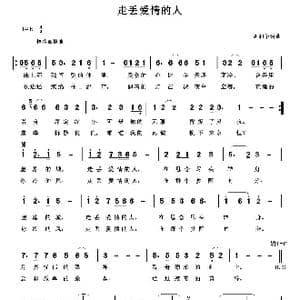 走丢爱情的人_歌曲简谱_词曲:胡润华 胡润华