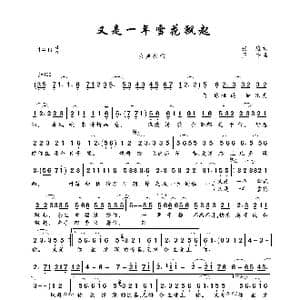 又是一年雪花飘起_歌曲简谱_词曲:张维 王宁