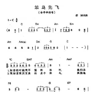 笨鸟先飞_通俗唱法乐谱_词曲:舒楠 舒楠