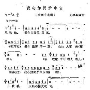 云南白族民歌_我心如同炉中火_民歌简谱