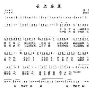 云上茶花_民歌简谱_词曲:萍子 何丽华