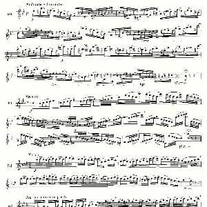 长笛曲谱 | 简易音阶练习100首之50 66 moyse 100 studies after cramer 莫伊斯Moyse