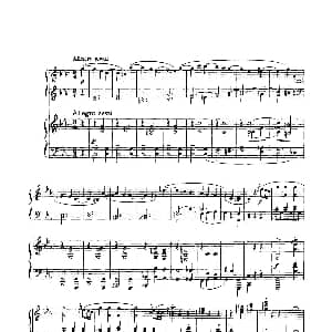 根据21首钢琴奏鸣曲改编的双钢琴版钢琴奏鸣曲四首 钢琴谱 沃尔夫冈 阿玛多伊斯 莫扎特曲 格里格改编