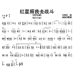 红星照我去战斗_歌曲简谱_词曲: 高振忠配器