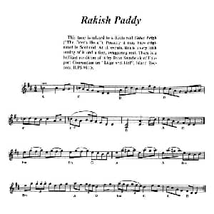 小提琴谱 | Rakish Paddy 爱尔兰民歌