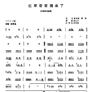 红军哥哥回来了 中音板胡 张长城 原野