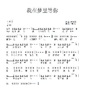 我在梦里等你_歌谱投稿_词曲:吴发林 吴发林
