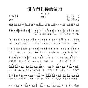 没有留住你的温柔_歌曲简谱_词曲:三力 三力