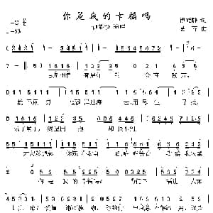 你是我的幸福吗_通俗唱法乐谱_词曲:伊能静 易齐