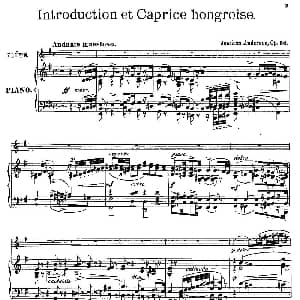 长笛曲谱 | Introduction et Caprice Op.58 长笛 钢琴伴奏 丹麦 安德森