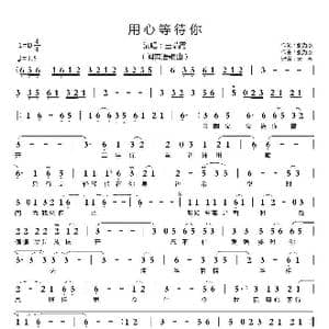 用心等待你 _歌曲简谱_词曲:张为杰 张为杰