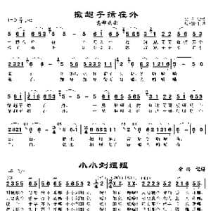 撒趟子 小刘姐_歌曲简谱