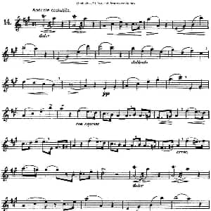 长笛曲谱 | 三十首基础及提高练习曲 NO.14 Garibold 加里波第