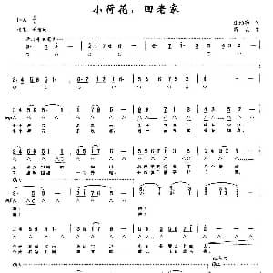 口琴谱 | 小荷花 回老家 带歌词版 李幼容 舒京
