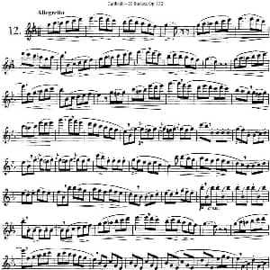 长笛曲谱 | 二十首练习曲作品132号之12 Garibold 加里波第