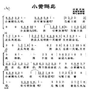 小黄鹂鸟_歌谱投稿_词曲: 龚耀年编曲 群之编合唱