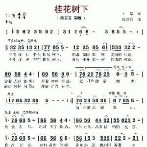 桂花树下_歌谱投稿_词曲:王磊 徐沛东