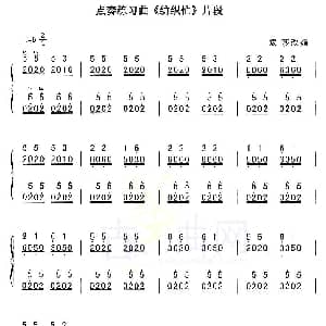 古筝谱 | 点奏练习曲 纺织忙 片段 袁莎改编