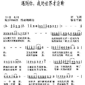 遇到你,我的世界才清晰_通俗唱法乐谱_词曲:高飞 黎荣军