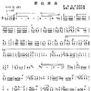 二胡谱 | 霍拉舞曲 国潼订谱版
