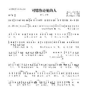 ​可惜你是他的人_歌曲简谱_词曲:张海风 欢子 廖灵光