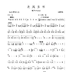 葫芦丝谱 | 龙凤呈祥 马雨贤