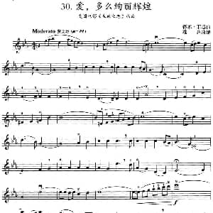 小提琴谱 | 爱 多么绚丽辉煌 美国电影 生死之恋 插曲 赛米 菲恩曲 雄达改编