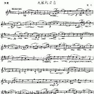 小提琴谱 | 坦诚的自白 托梅