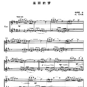 长笛曲谱 | 美丽的梦 二重奏 福斯特曲 钱芑改编