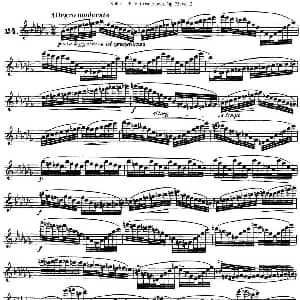 长笛曲谱 | 柯勒30首高级长笛练习曲作品75号 NO.24 Kohler 柯勒