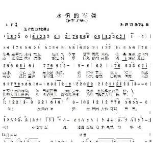永恒的军魂_歌曲简谱_词曲:孙超 孙卫东