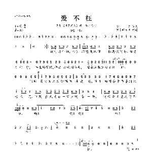 爱不枉_歌曲简谱_词曲:​胡灵 ​胡灵