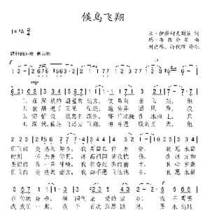 候鸟飞翔_歌谱投稿