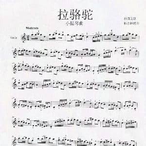 拉骆驼_歌谱投稿_词曲:新疆民歌 杨会林编曲