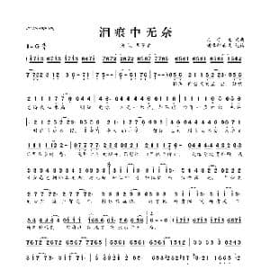 ​泪痕中无奈_歌曲简谱_词曲:周子龙 周子龙