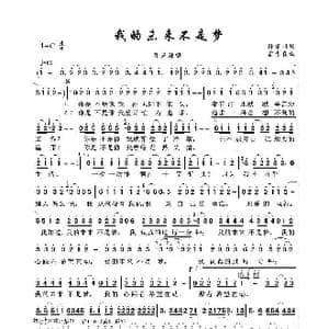 我的未来不是梦_歌曲简谱_词曲:陈家丽 翁孝良