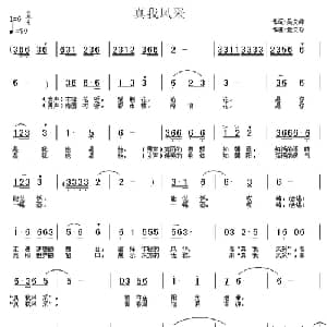 真我风采_通俗唱法乐谱_词曲:吴文峰 董文松