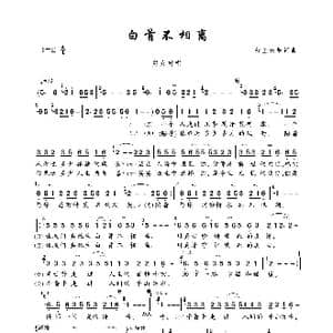 白首不相离_歌曲简谱_词曲:红尘云烟 红尘云烟