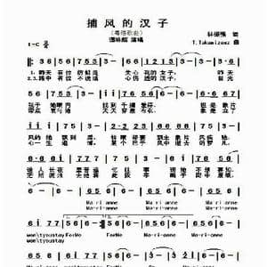 捕风的汉子_歌谱投稿_词曲:林振强 T.Takamizamz