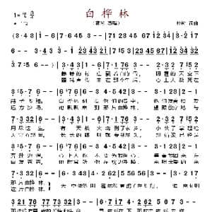 白桦林_歌谱投稿_词曲:朴树 朴树