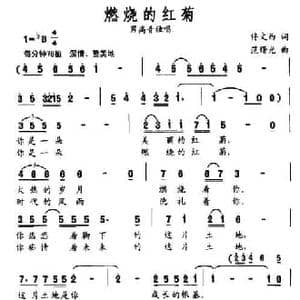 燃烧的红菊_民歌简谱_词曲:佟文西 范曙光
