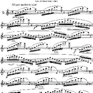 长笛曲谱 | 阿尔泰斯26首精选长笛练习曲 NO.5 Altes 阿尔泰斯