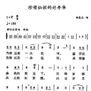 珍惜灿烂的好年华_民歌简谱_词曲:刘志文 徐东蔚