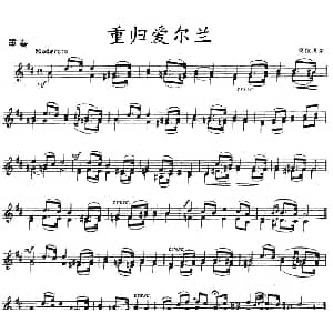 小提琴谱 | 重归爱尔兰 重奏