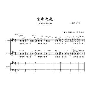 生命之光混声合唱谱_歌曲简谱