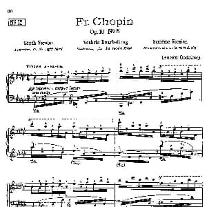 53首改编练习曲 钢琴谱 里奥鲍尔德 戈多夫斯基