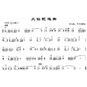 二胡谱 | 天仙配选曲 时白林 王文志编曲