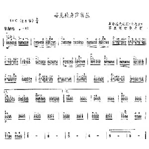 二胡谱 | 喜儿藏身芦苇丛 舞剧 白毛女 第三场音乐片段