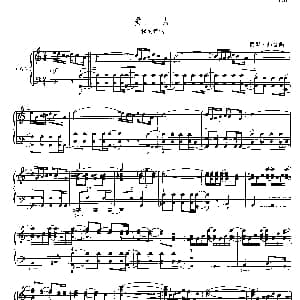 手风琴谱 | 爱人 探戈舞曲 雨果 弗雷