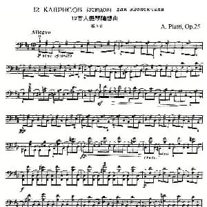A. Piatti 12 Caprice Op.25 皮阿蒂 12首大提琴随想曲 第九